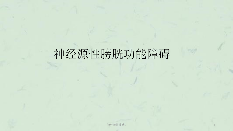 神经源性膀胱0ppt课件_第1页