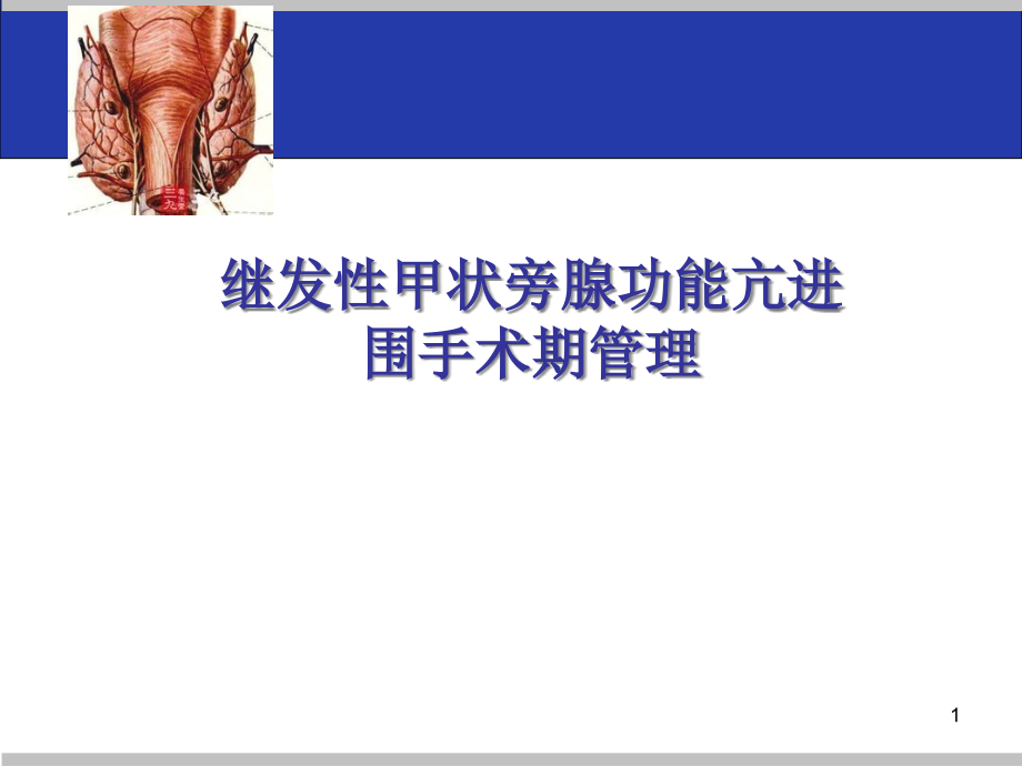 尿毒症继发甲状旁腺功能亢进的手术治疗课件_第1页