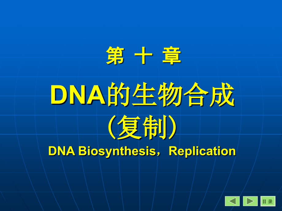 第14章DNA的复制与修复(药学)课件_第1页