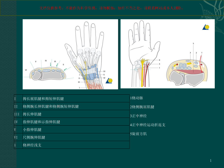 桡骨远端骨折培训ppt课件_第1页