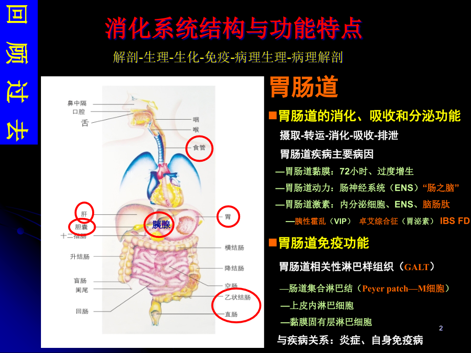 消化系统疾病总论ppt课件_第1页