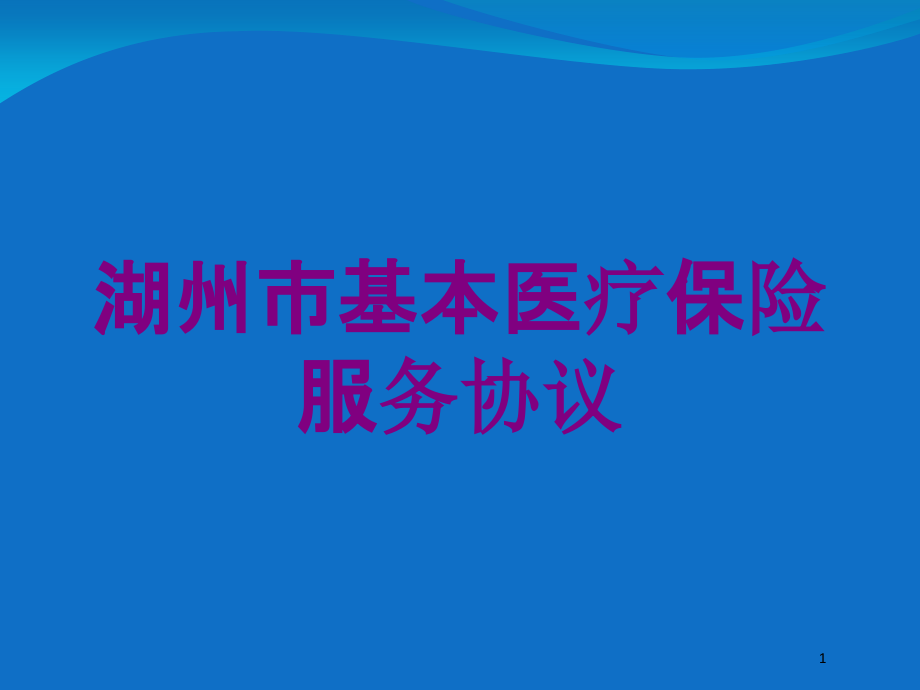 湖州市基本医疗保险服务协议培训ppt课件_第1页