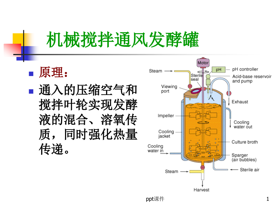 机械搅拌通风发酵设备分解--课件_第1页