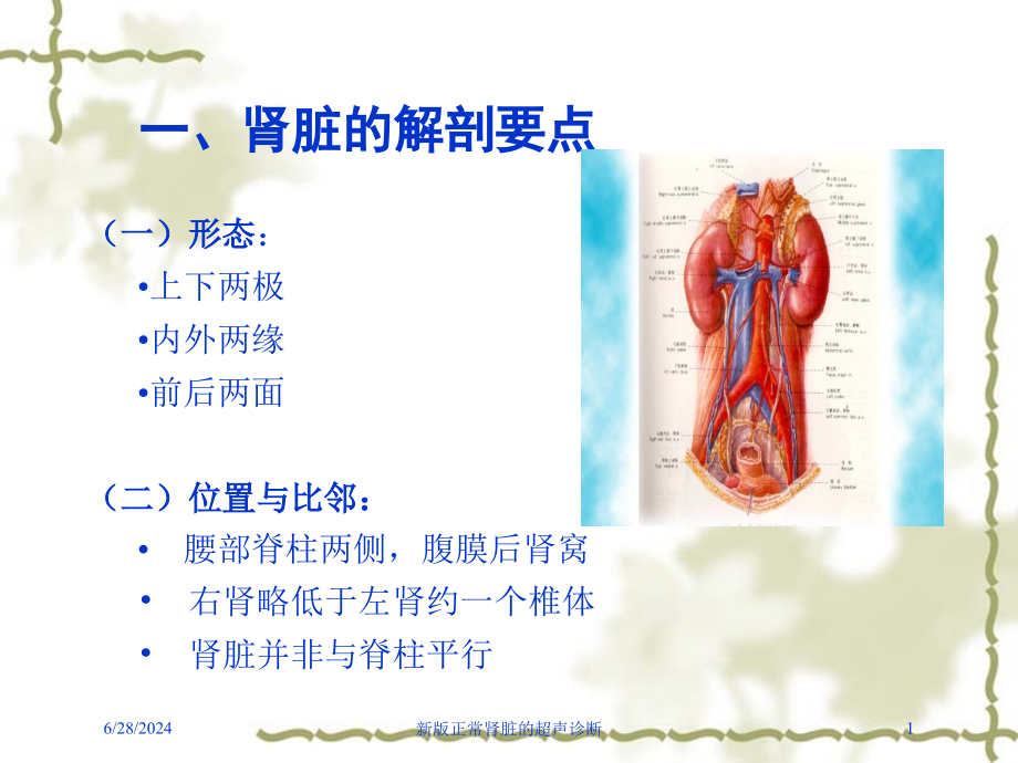 新版正常肾脏的超声诊断培训ppt课件_第1页