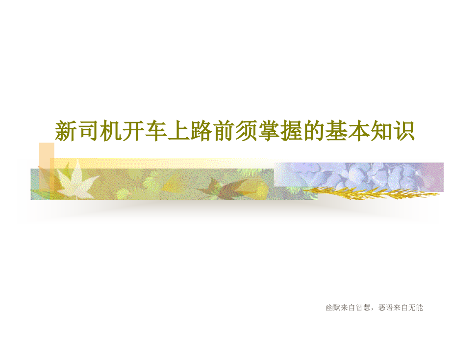 新司机开车上路前须掌握的基本知识教学课件_第1页