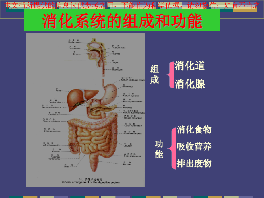 消化系统常见疾病培训ppt课件_第1页