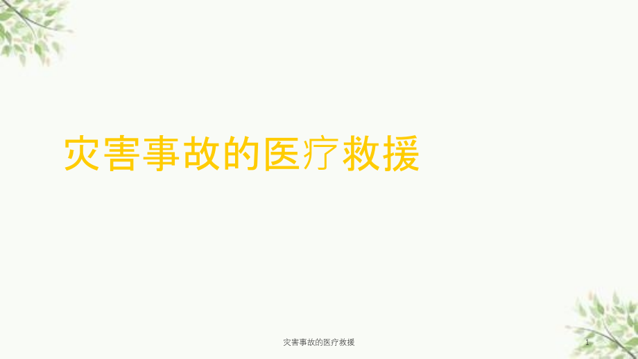 灾害事故的医疗救援ppt课件_第1页