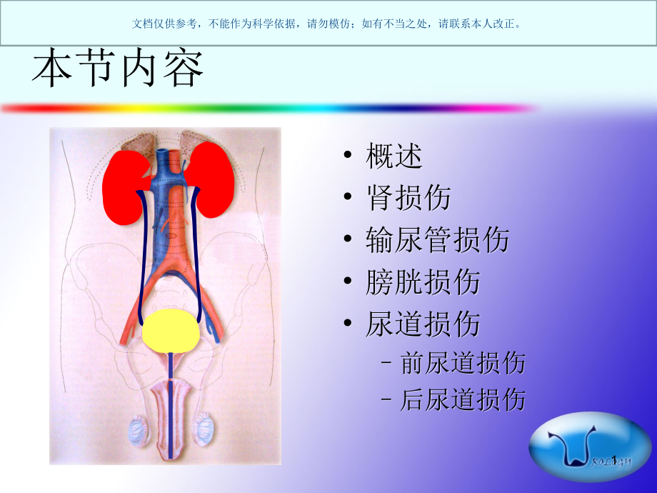 泌尿系统损伤作者不详ppt课件_第1页