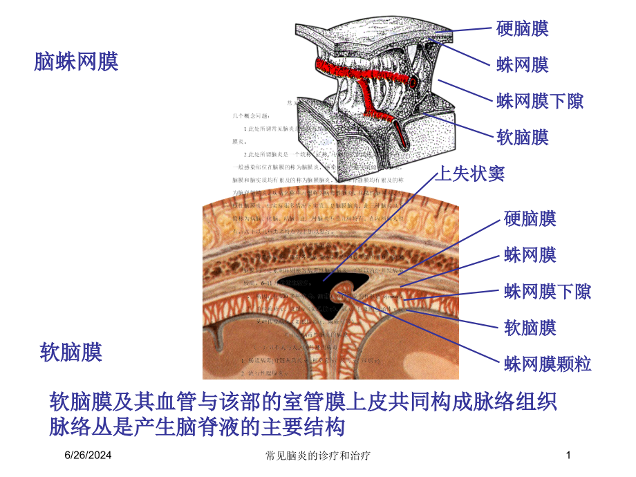 常见脑炎的诊疗和治疗ppt课件_第1页