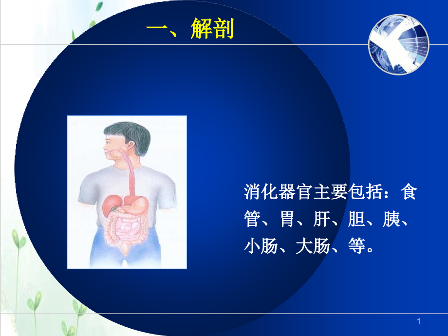 消化系统疾病相关知识要点实用课件_第1页