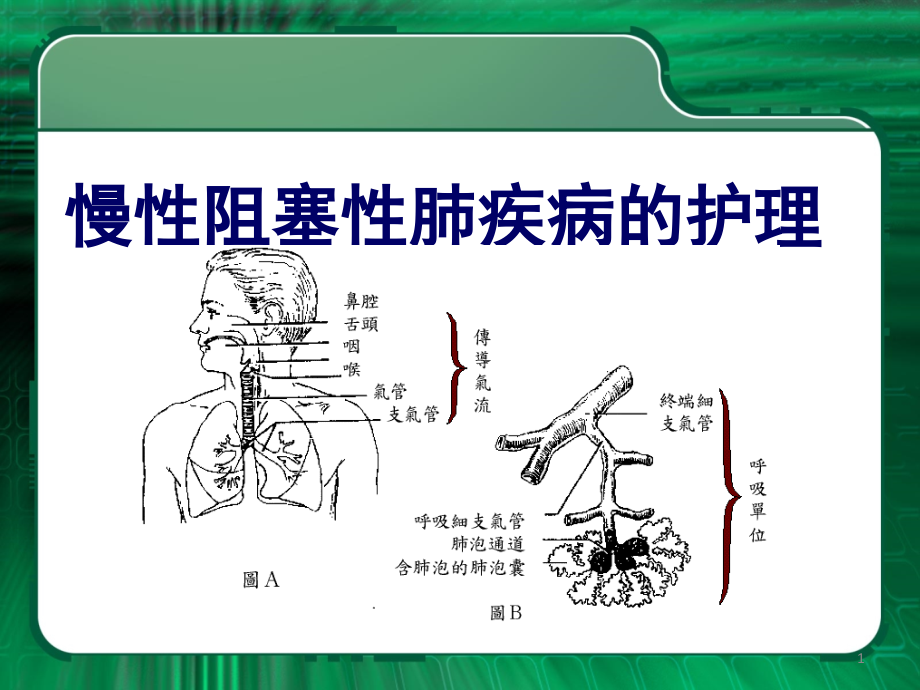 第九章老年人呼吸系统常见疾病的护理课件_第1页