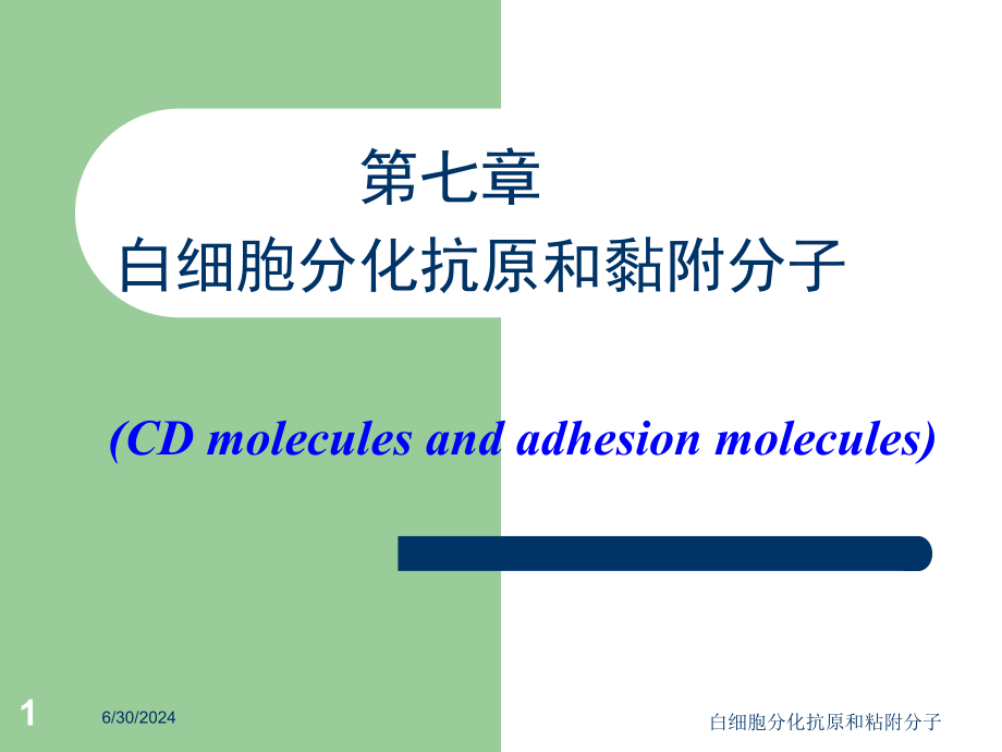 白细胞分化抗原和粘附分子培训ppt课件_第1页