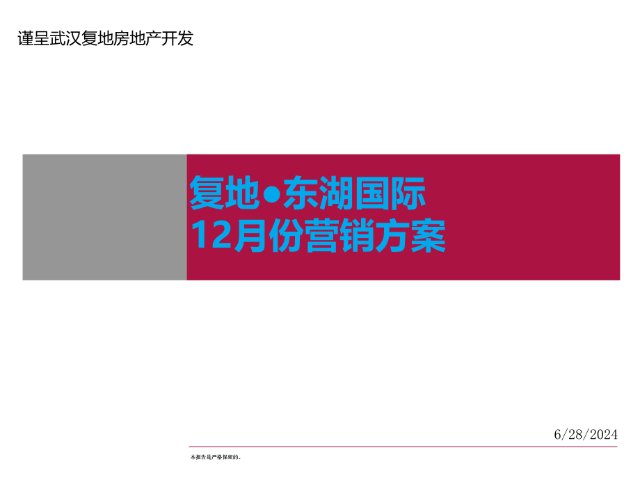 武汉复地东湖国际项目12月份媒体推广计划20_第1页