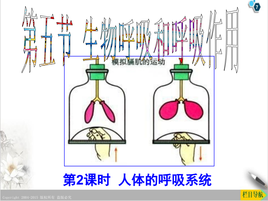 浙教版八级下册科学ppt课件生物的呼吸和呼吸作用_第1页