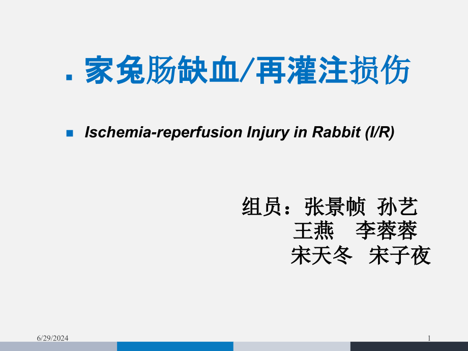 机能实验家兔肠缺血再灌注损伤参考课件_第1页