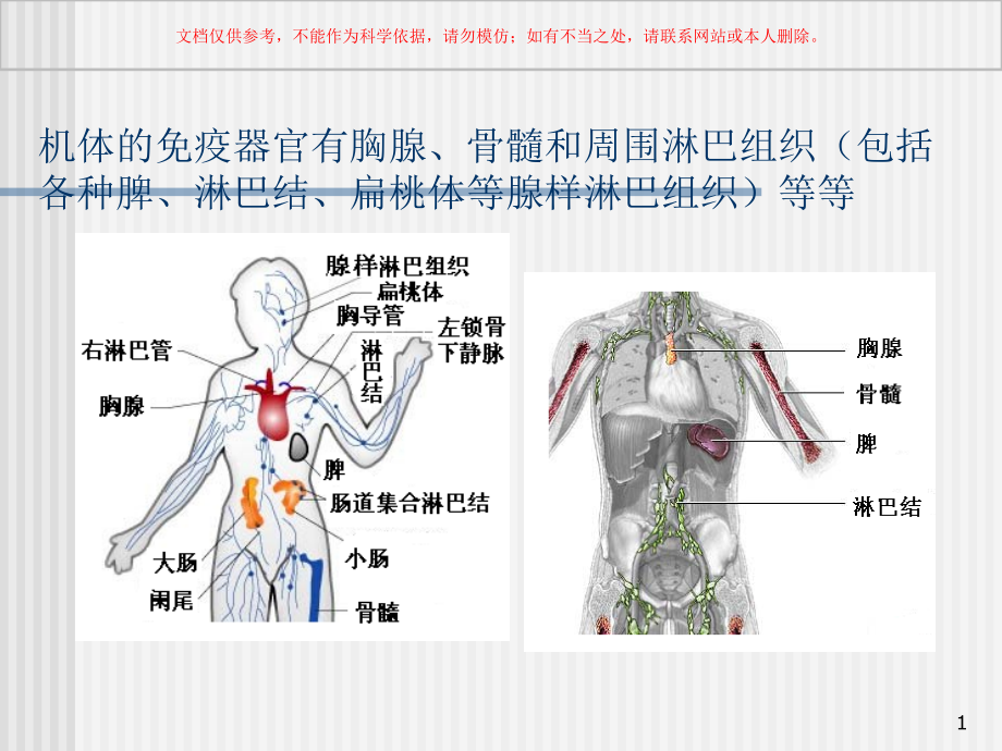 淋巴细胞亚群和其活化状态测定的临床应用ppt课件_第1页