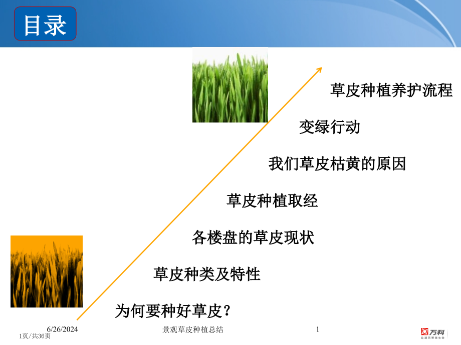 景观草皮种植总结培训课件_第1页