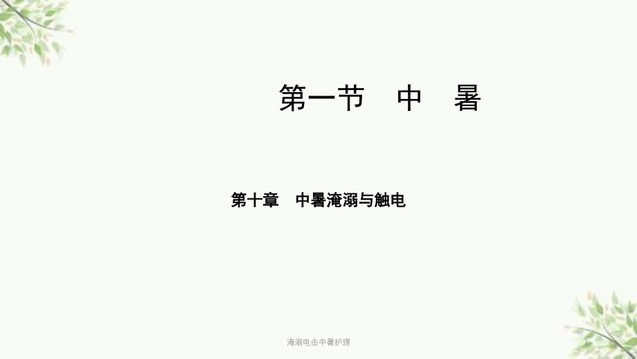 淹溺电击中暑护理ppt课件_第1页