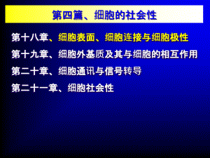 細胞生物學(xué)12細胞的社會性課件