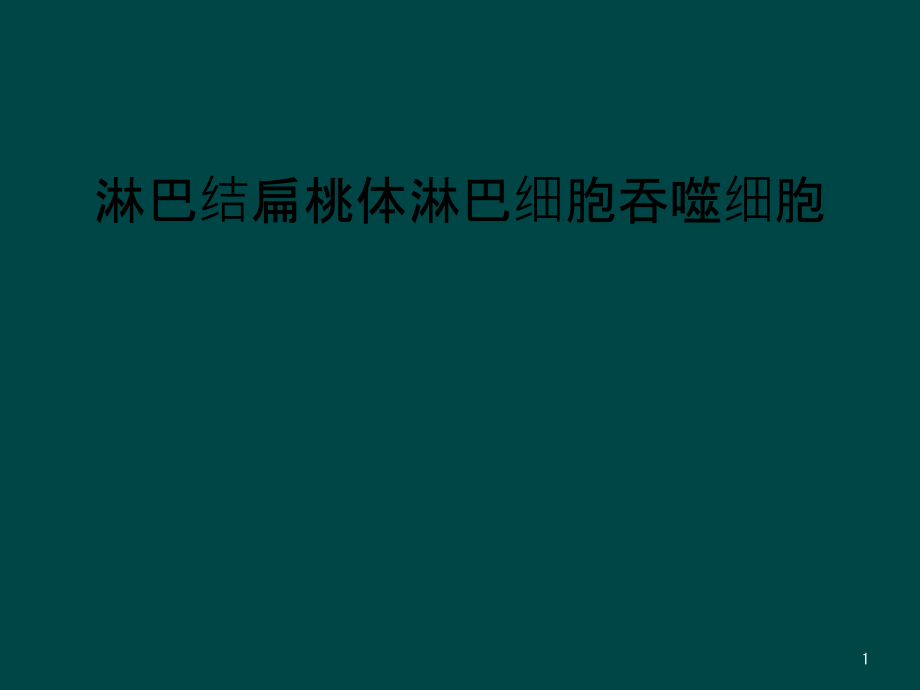 淋巴结扁桃体淋巴细胞吞噬细胞课件_第1页