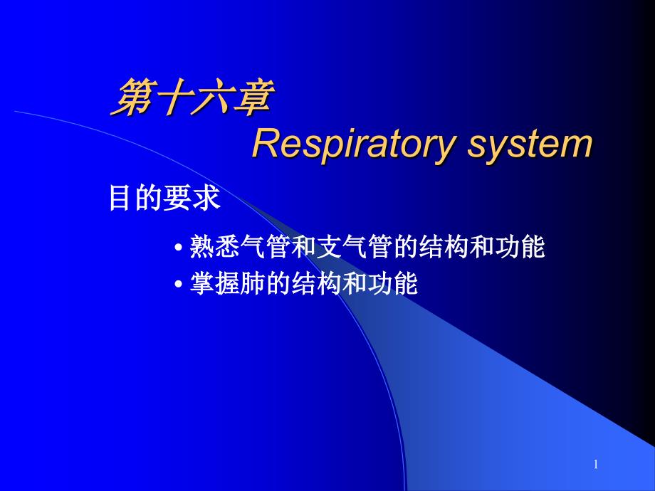 第6章呼吸系统资料课件_第1页