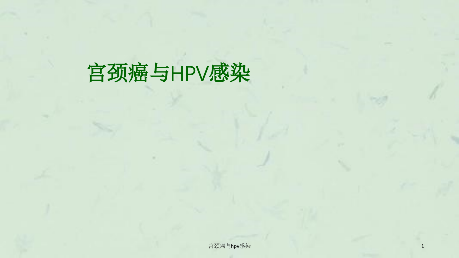 宫颈癌与hpv感染ppt课件_第1页