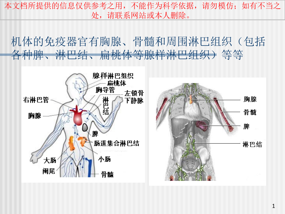 淋巴细胞亚群的临床应用培训ppt课件_第1页