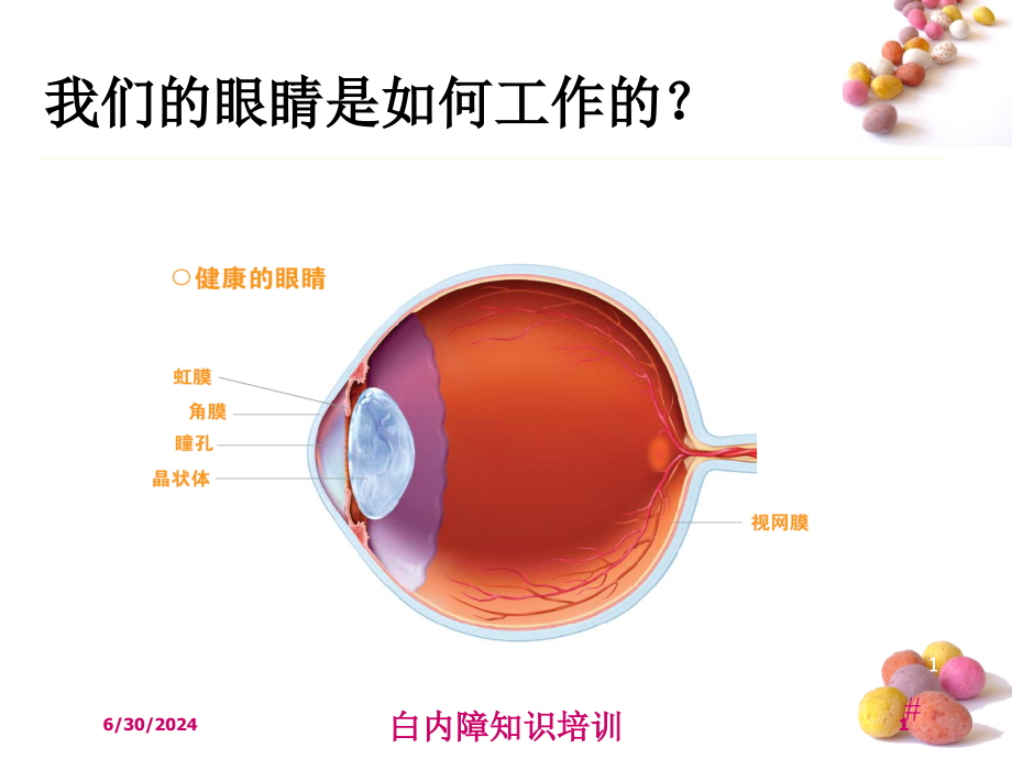 白内障知识培训培训ppt课件_第1页