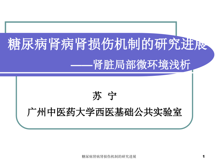 糖尿病肾病肾损伤机制的研究进展ppt课件_第1页