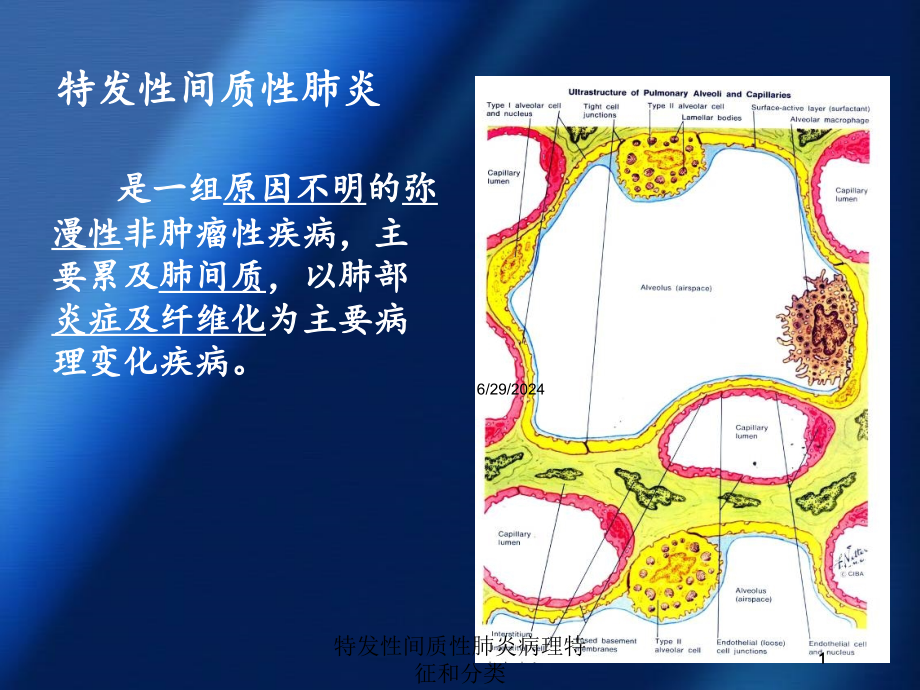 特发性间质性肺炎病理特征和分类培训ppt课件_第1页