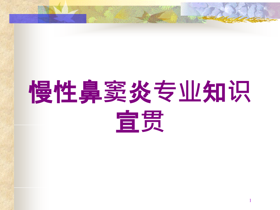 慢性鼻窦炎专业知识宣贯培训ppt课件_第1页