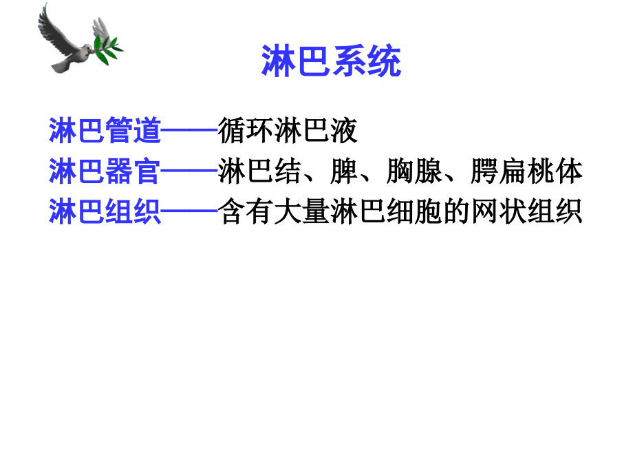 淋巴内分泌系统课件_第1页