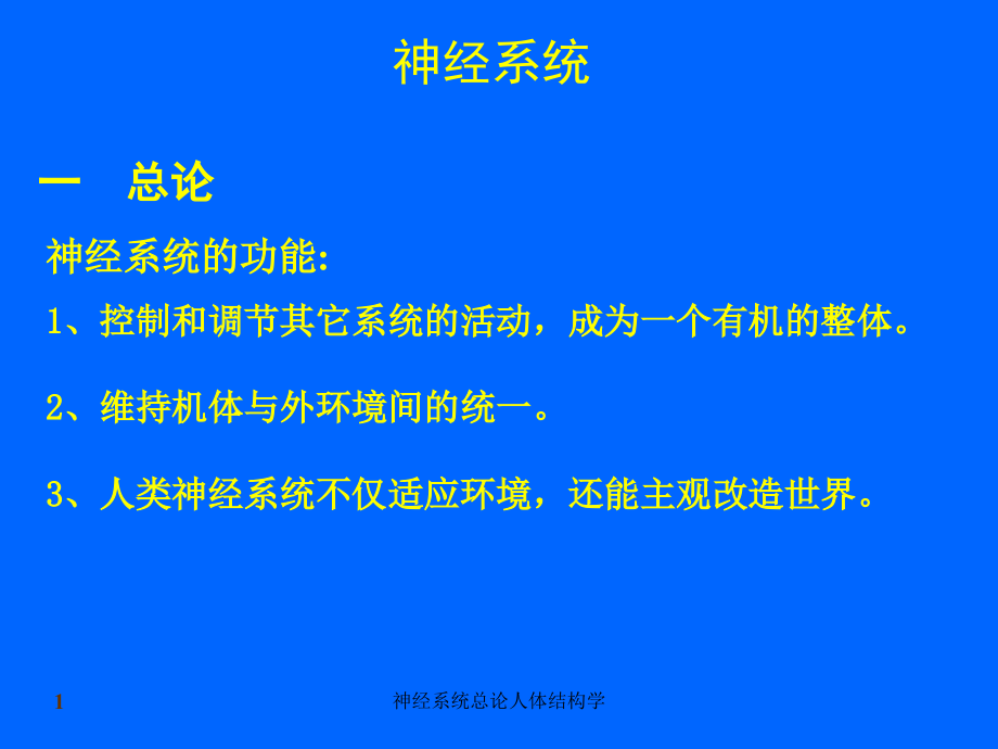 神经系统总论人体结构学ppt课件_第1页