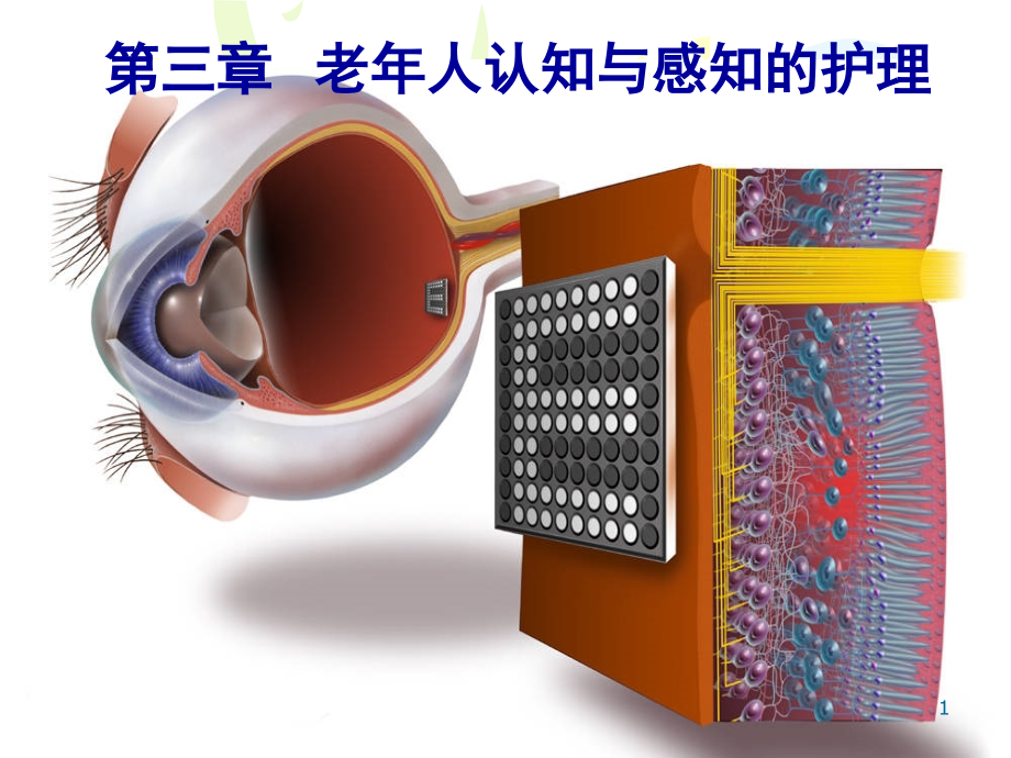 第三章老年人认知与感知护理课件_第1页