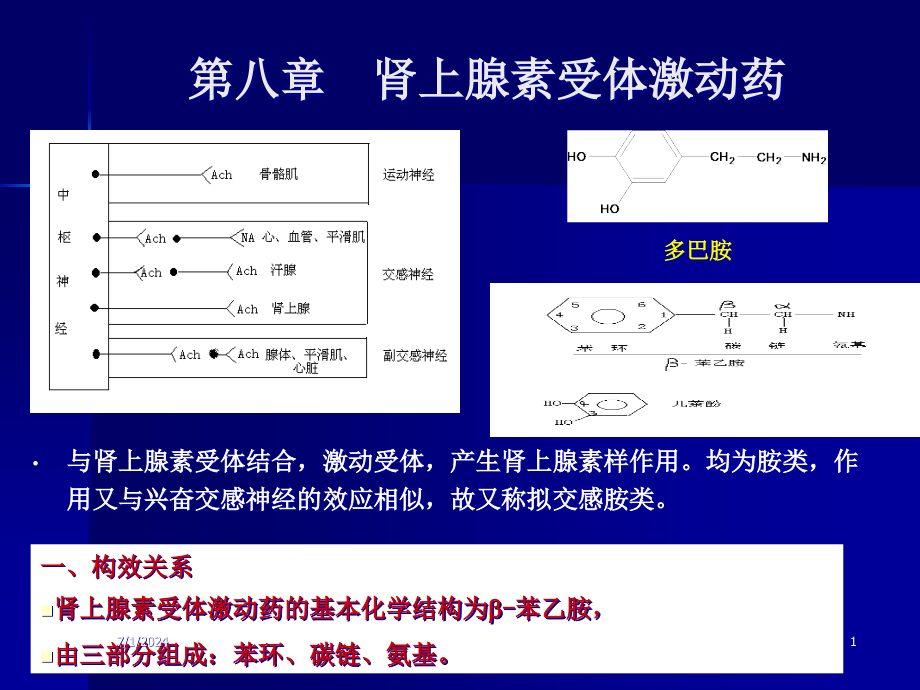 第五讲肾上腺素受体药课件_第1页