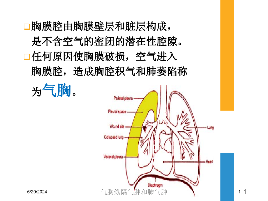 气胸纵隔气肿和肺气肿培训ppt课件_第1页