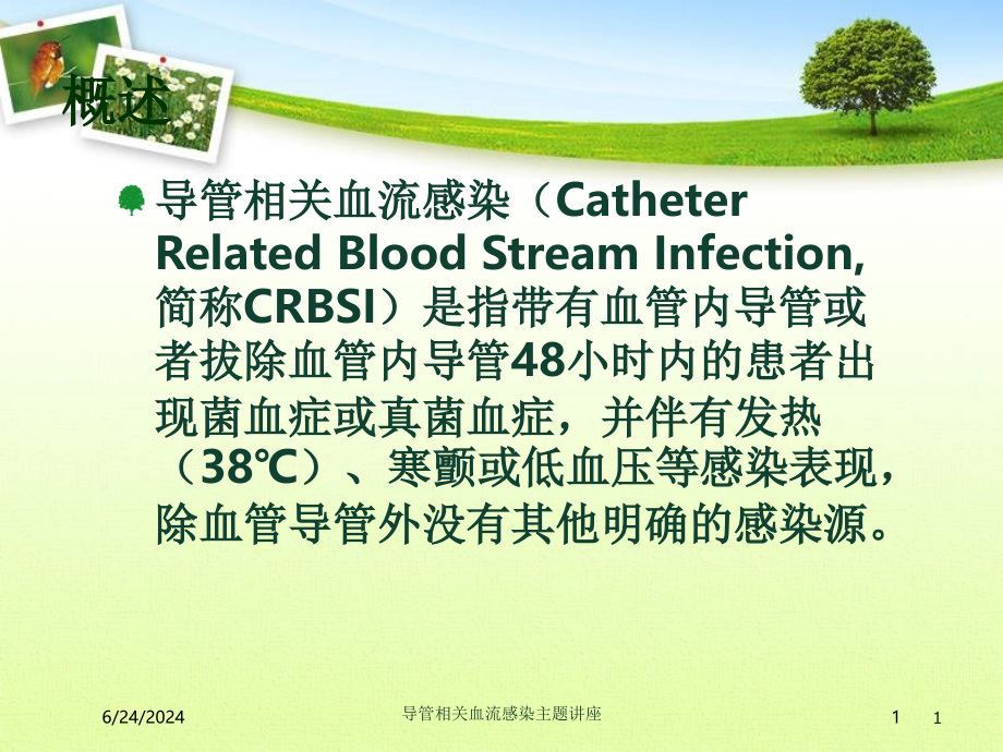 导管相关血流感染主题讲座ppt课件_第1页