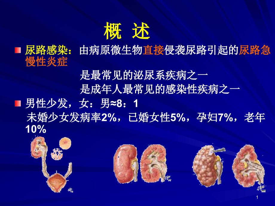 第三节尿路感染病人的护理课件_第1页