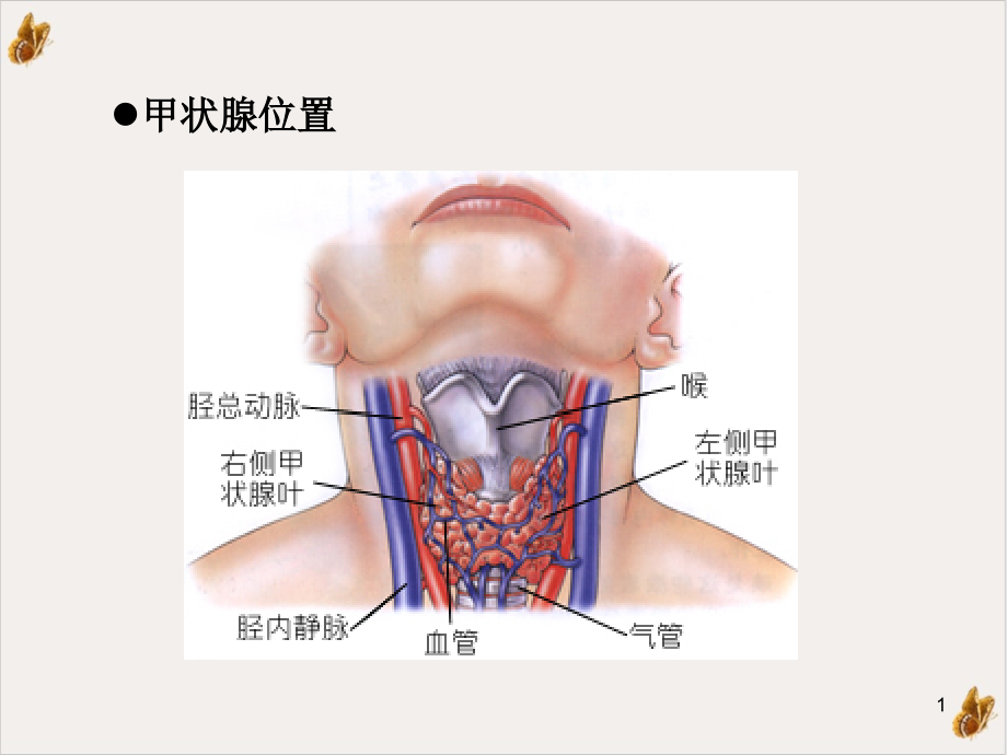 甲亢干预疗法课件_第1页