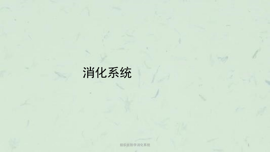 组织胚胎学消化系统ppt课件_第1页