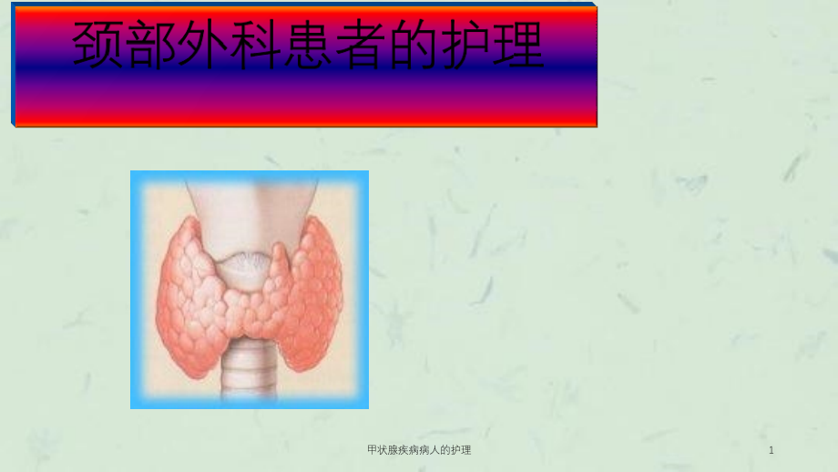 甲状腺疾病病人的护理ppt课件_第1页