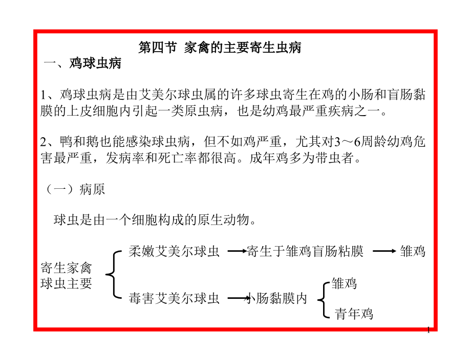 家禽寄生虫病剖析课件_第1页