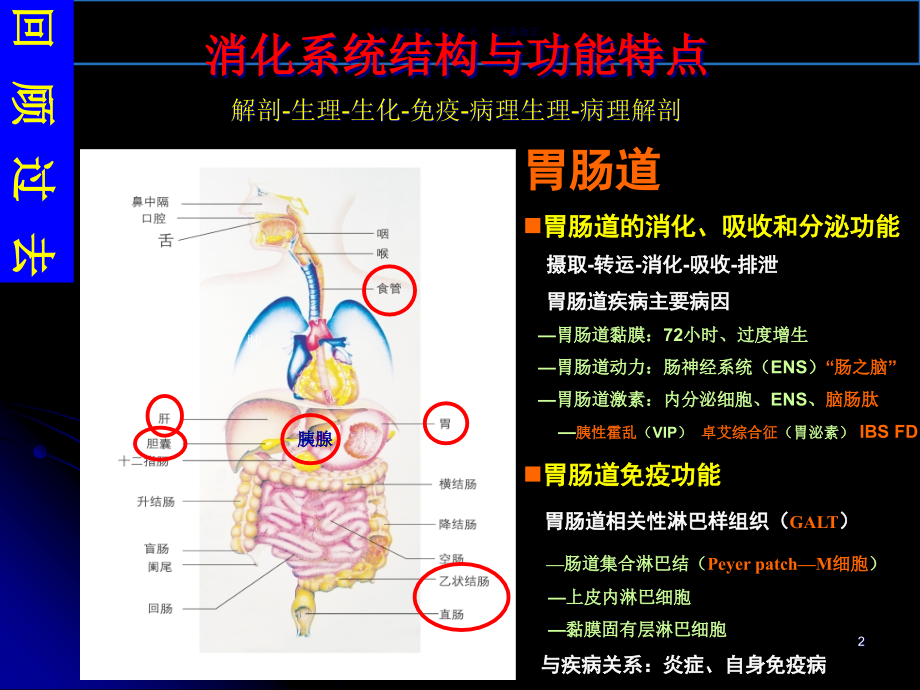 消化系统及疾病医疗管理知识分析课件_第1页