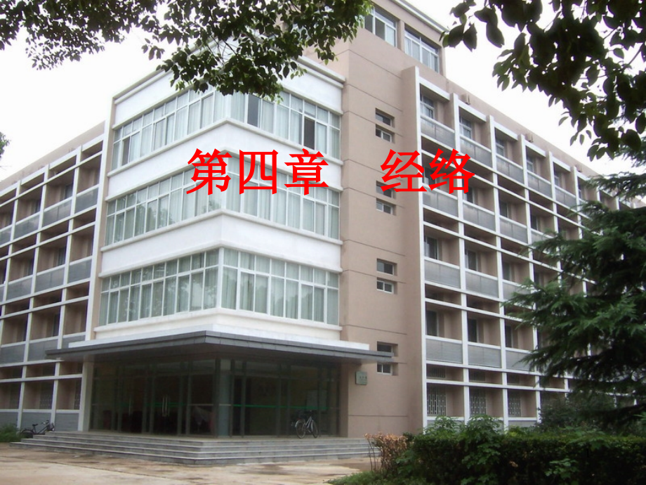 某大学中医学导论经络课件_第1页