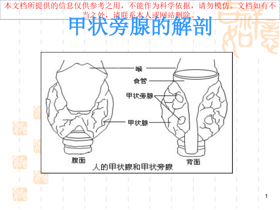 甲状旁腺功能减退精美讲解培训ppt课件_第1页