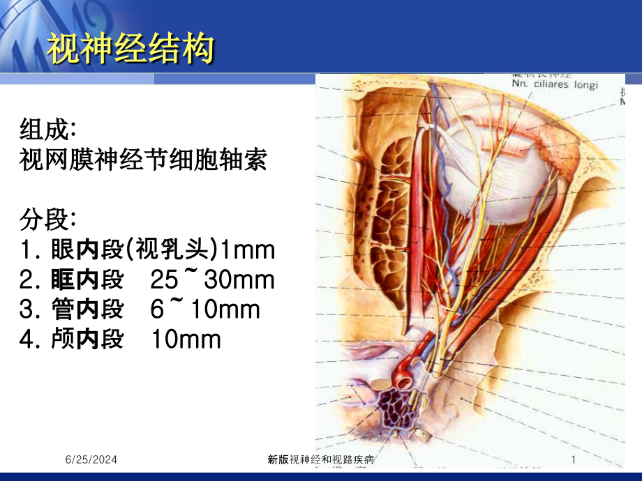 新版视神经和视路疾病培训课件_第1页