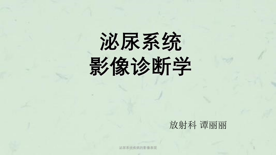 泌尿系统疾病的影像表现ppt课件_第1页