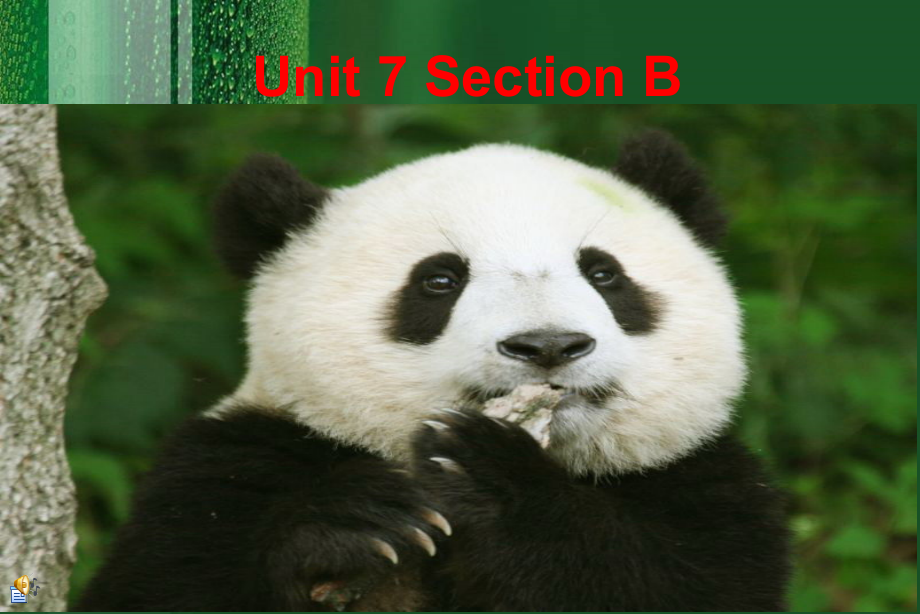 新版八下Unit7--Section-B课件_第1页