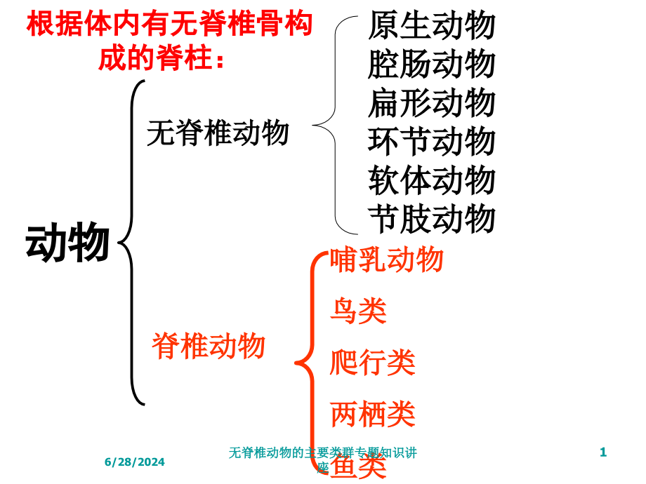 无脊椎动物的主要类群专题知识讲座培训课件_第1页