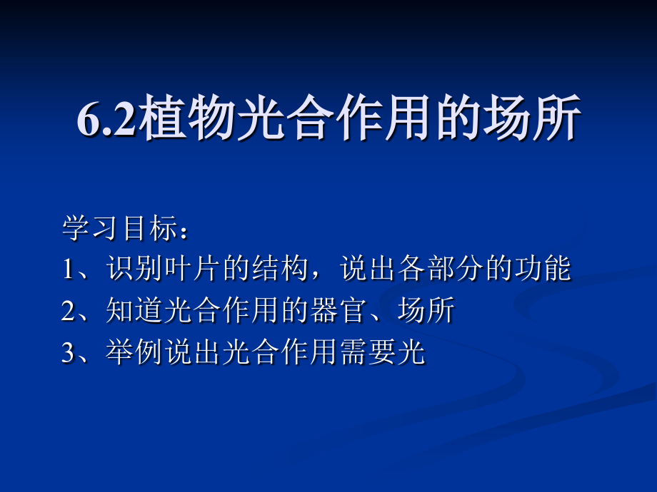 62植物光合作用的场所_第1页